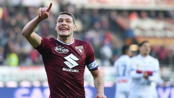 gallo belotti torino